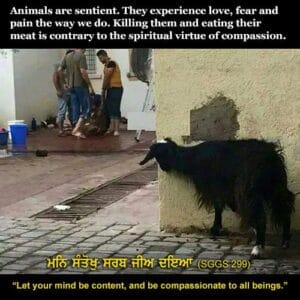 Can sikhs eat meat
