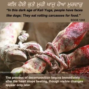 Can sikhs eat meat