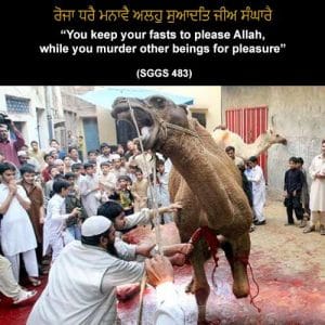 Can sikhs eat meat