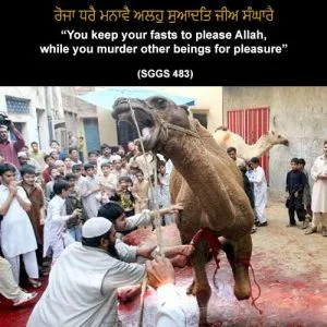 Can sikhs eat meat