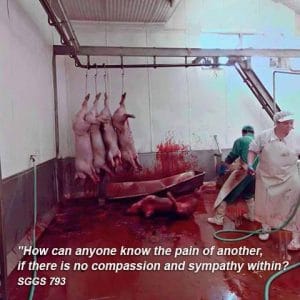 Can sikhs eat meat