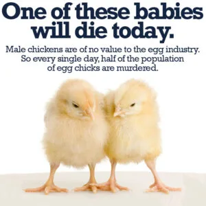 oneofthesebabieswilldie_orig